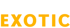 Goa Escort